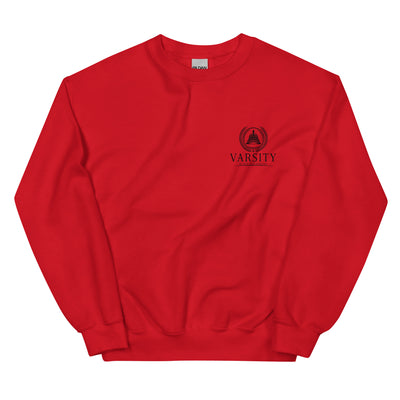 BNB: Varsity Crown Badger Crewneck