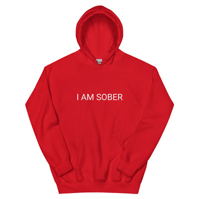 BNB: I am Sober Hoodie