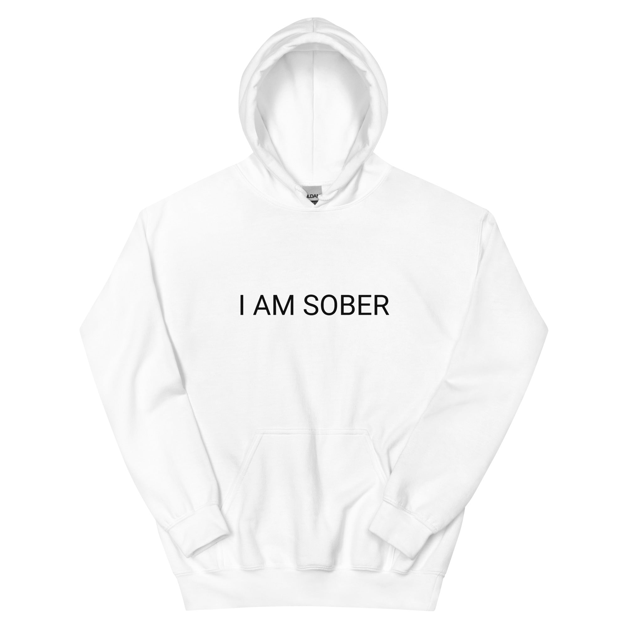 BNB: I am Sober Hoodie